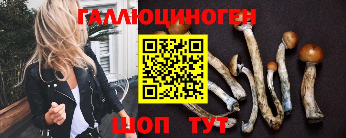 Псилоцибиновые грибы прущие грибы  Псилоцибиновые грибы Psilocybe  Краснознаменск 